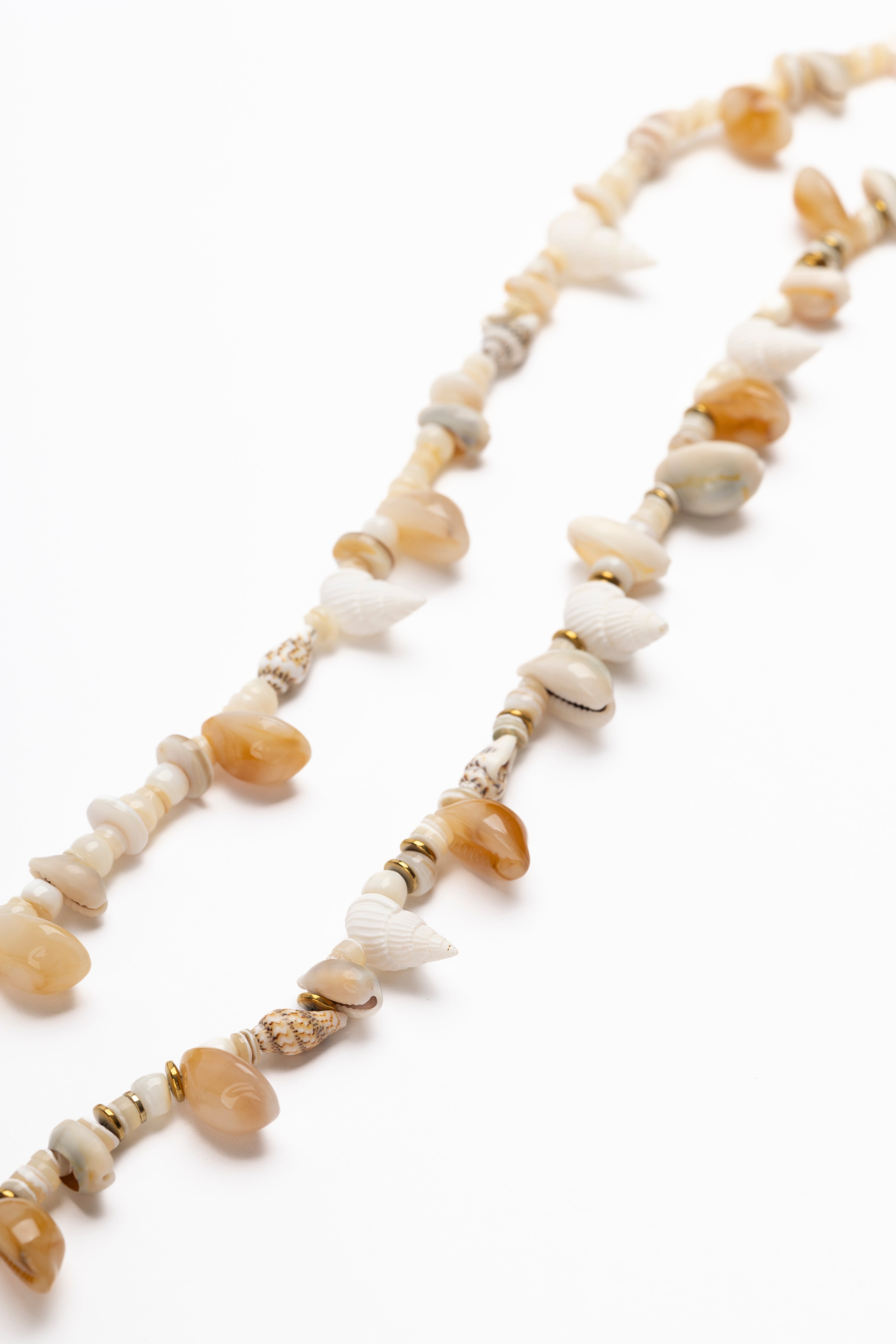 Mar Cowries