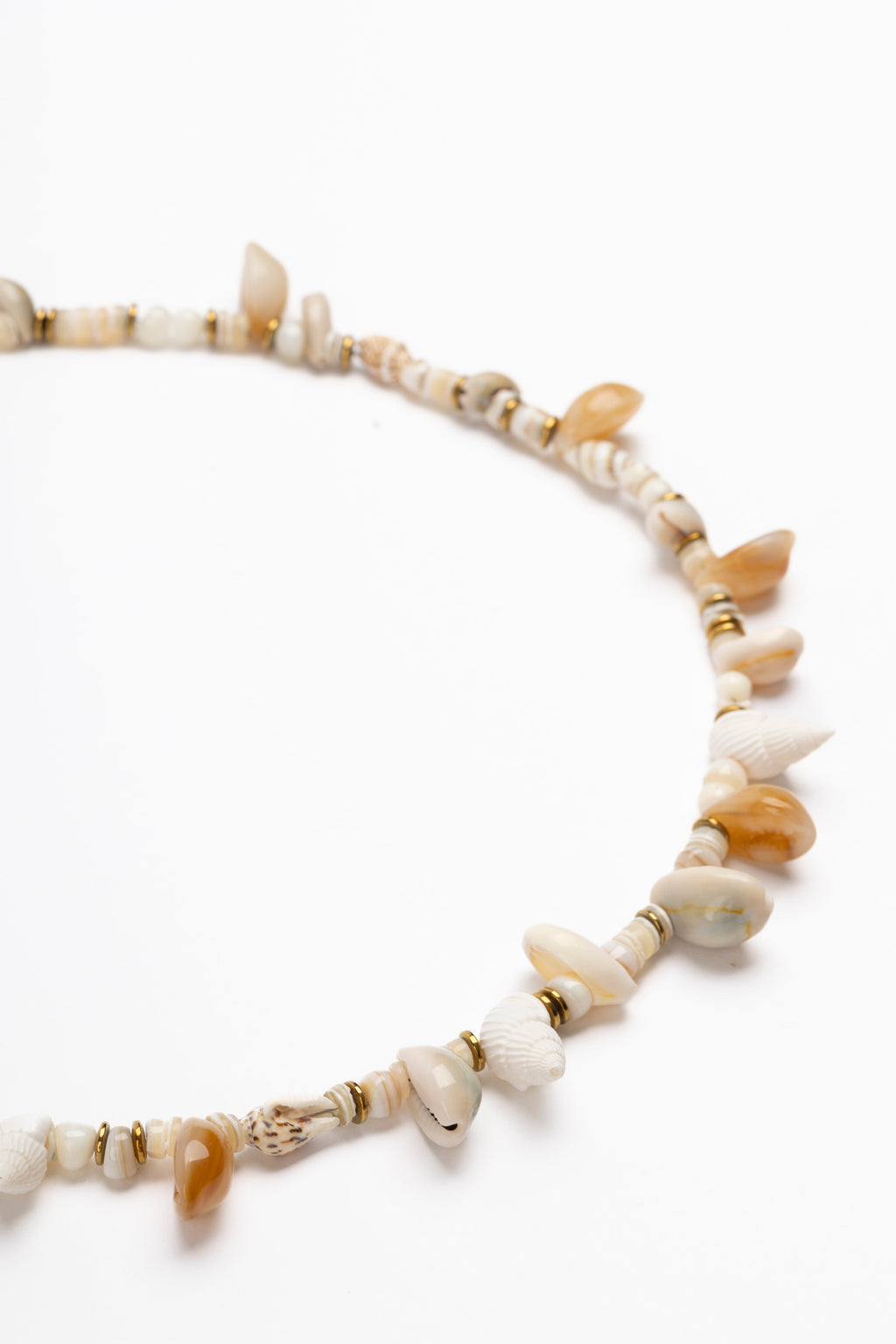 Mar Cowries