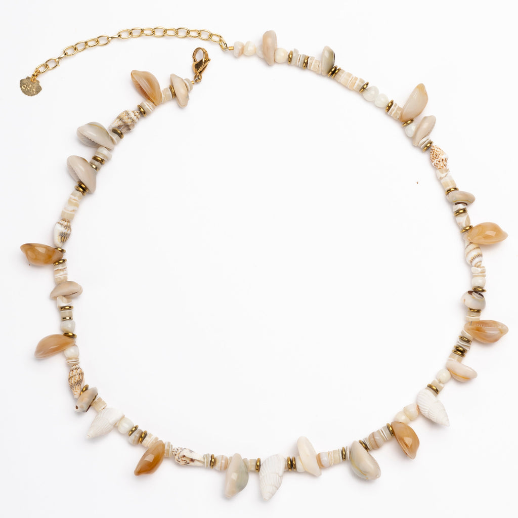 Mar Cowries